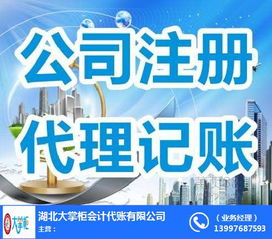 荊門企業(yè)財務(wù)管家 代賬會計公司與商務(wù)代理服務(wù)的全面解析